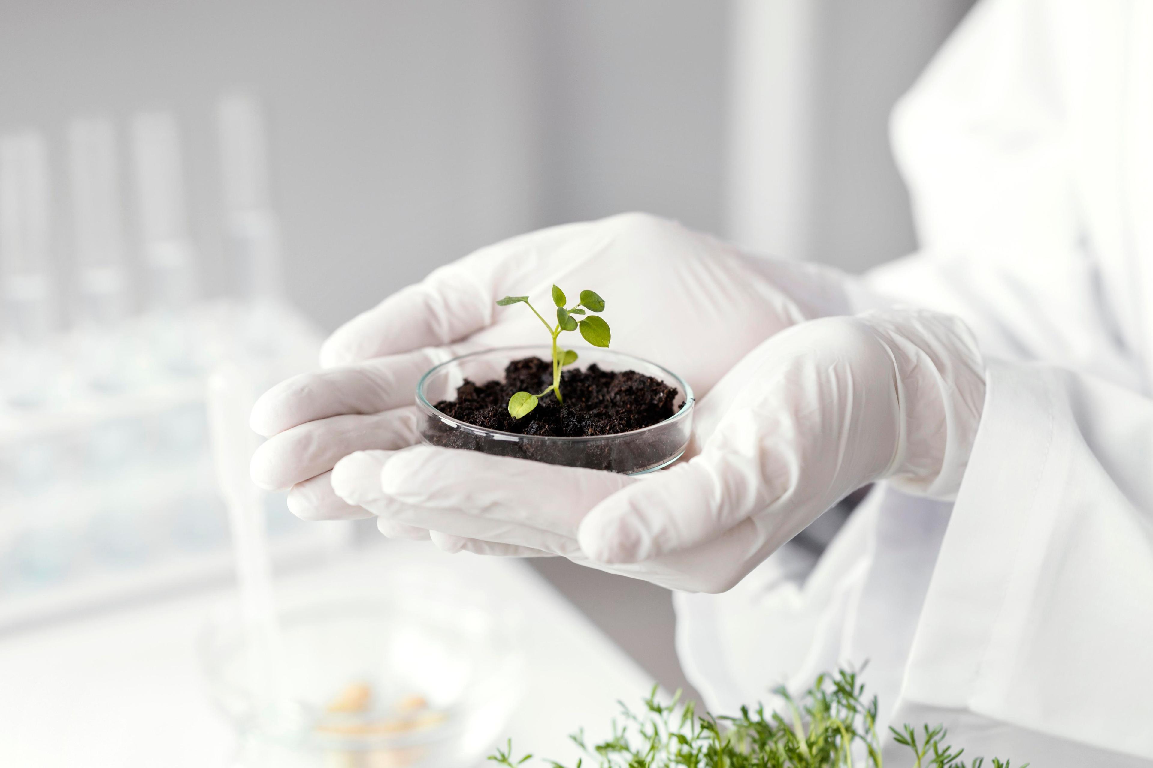 Agriculture and Growth
