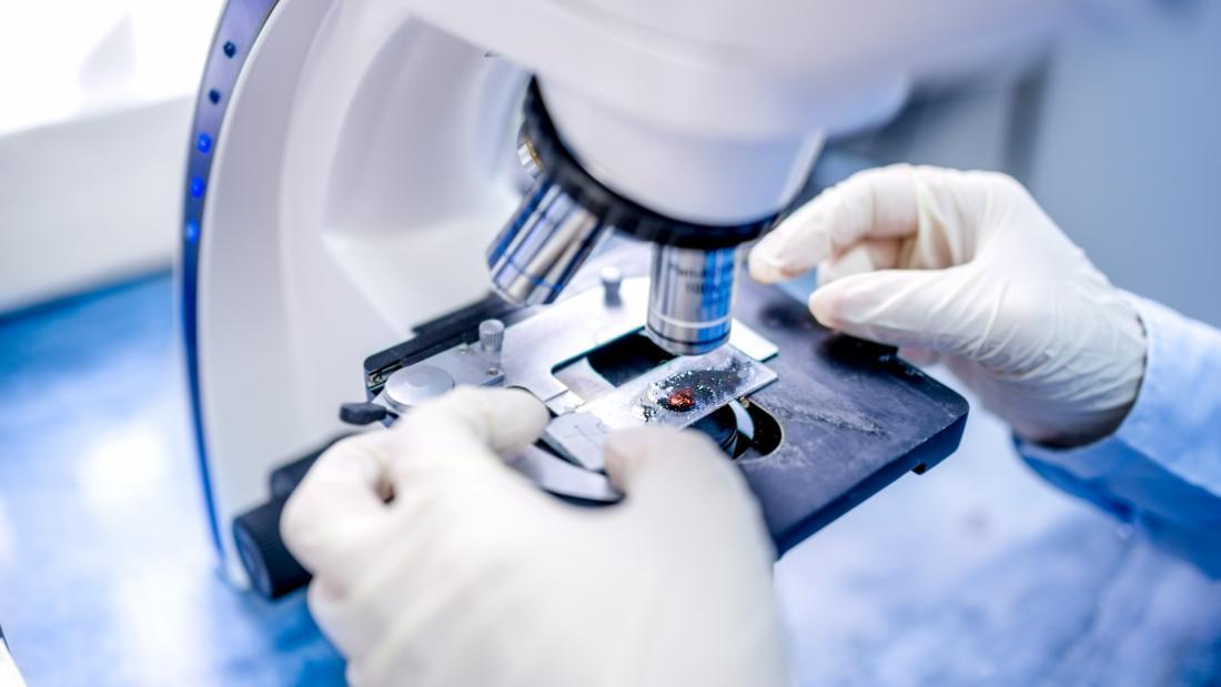 Biological Studies